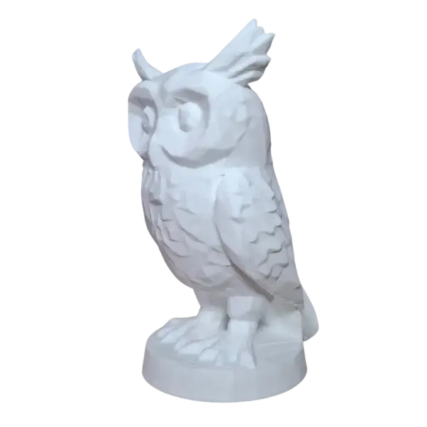 Coruja Oráculo - O símbolo da sabedoria e inteligência - Image 4